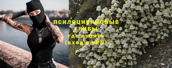 молекула духа Аркадак
